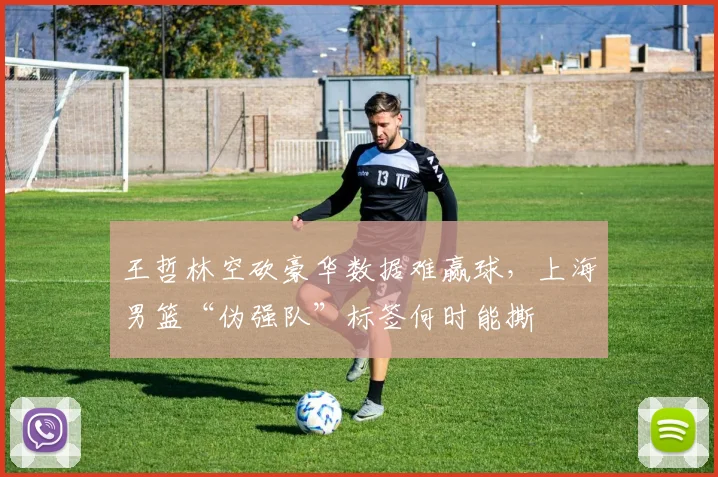 王哲林空砍豪华数据难赢球,上海男篮“伪强队”标签何时能撕